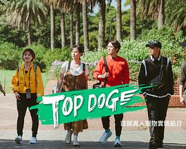 海角爆料《TOP DOG》免费在线观看