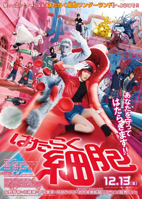 海角涩区《工作细胞 真人版 はたらく細胞》免费在线观看