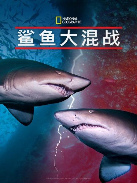 海角爆料《鲨鱼大混战》免费在线观看