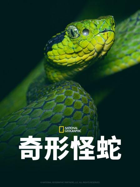 海角爆料站《奇形怪蛇》免费在线观看